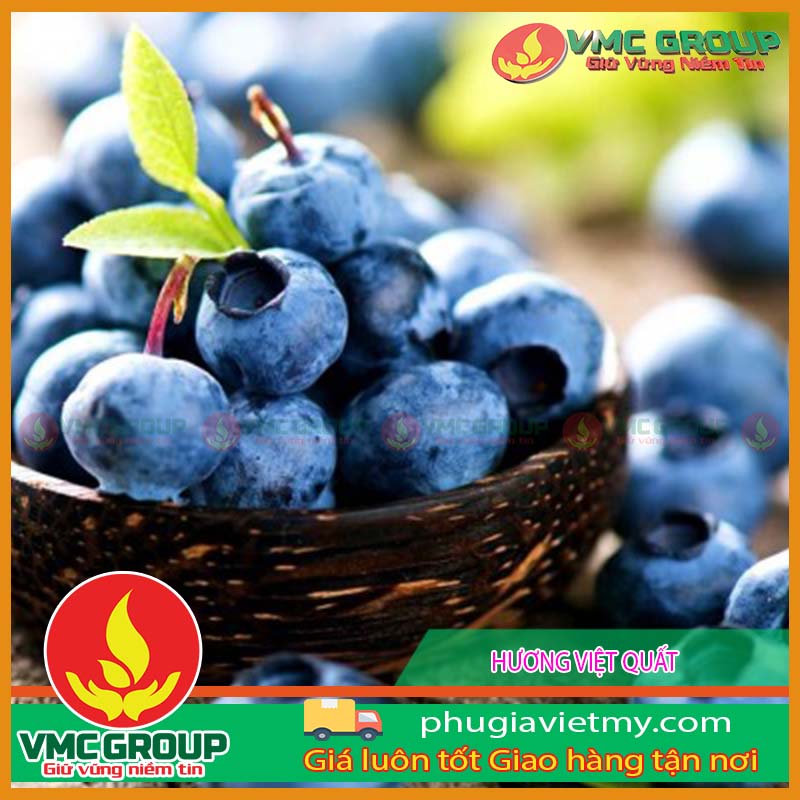huong viet quat Hương việt quất
