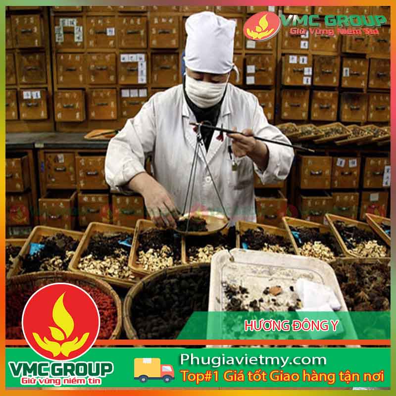 huong dong y vdn huong dong y vdn