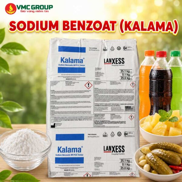 Chất bảo quản thực phẩm Sodium Benzoat