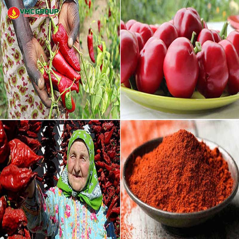 Màu Paprika Oleoresin