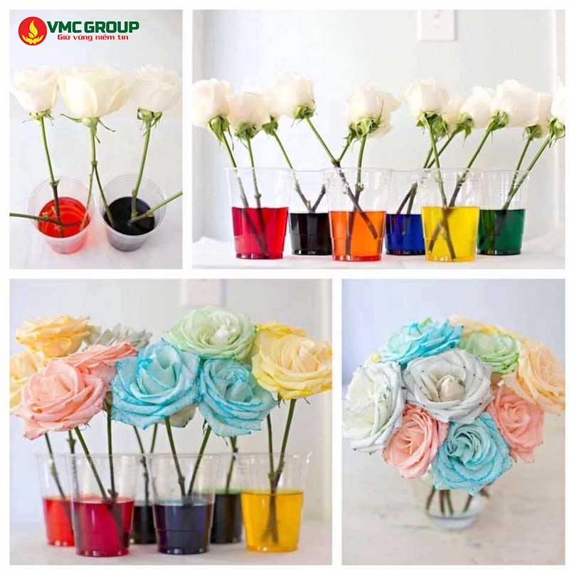 Nhuộm hoa bằng màu thực phẩm